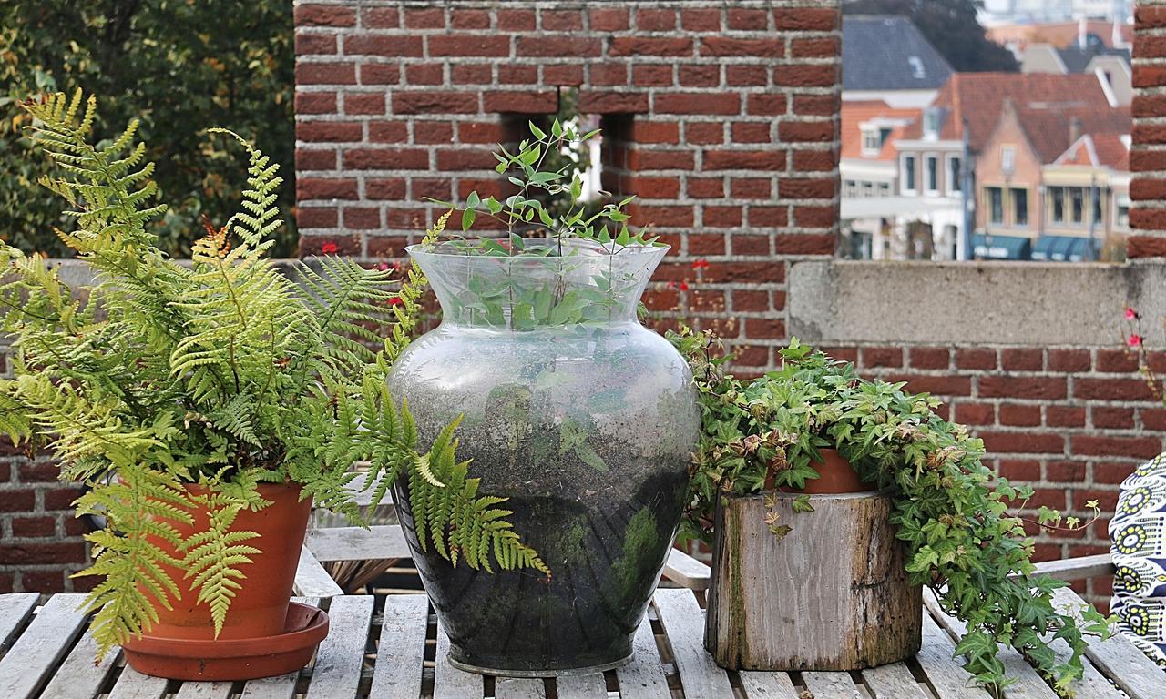 De Pelsertoren Zwolle  Eksteriør billede